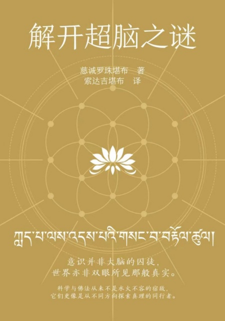 【译作】《解开超脑之谜》