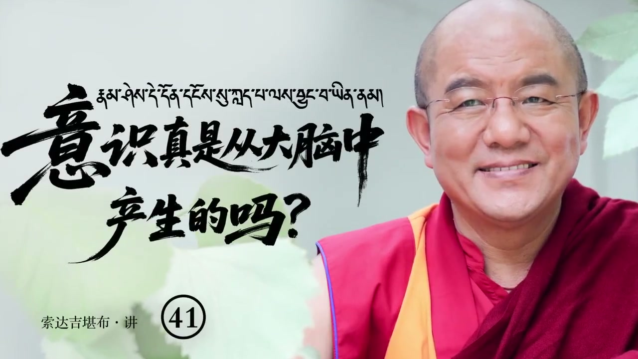 意识真是从大脑中产生的吗? 第41课 (圆满)